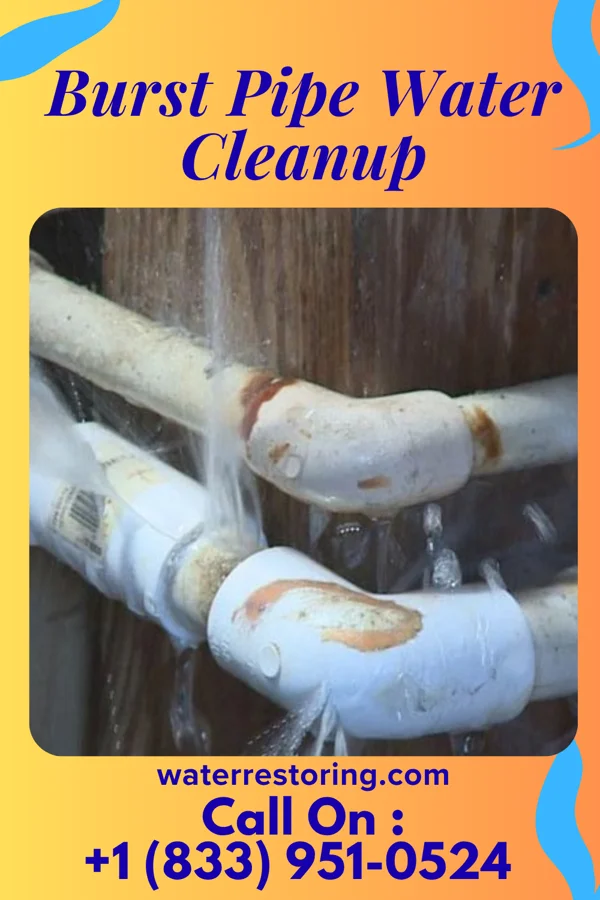 Burst Pipe Water Cleanup in Bay Point, CA